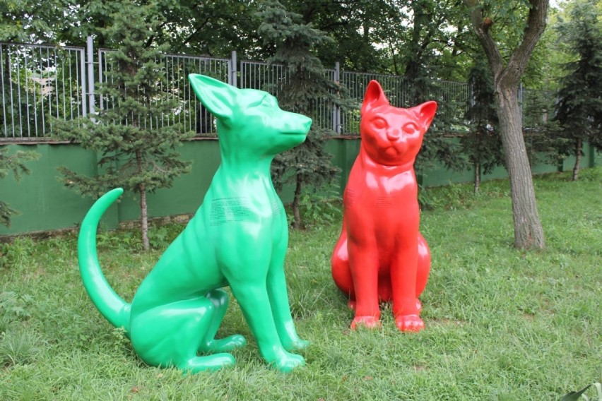 Wypatrujcie zielonego psa i czerwonego kota, i róbcie...