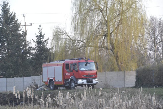 KOŚCIAN. Pożary traw - pierwsze w tym roku w powiecie kościańskim