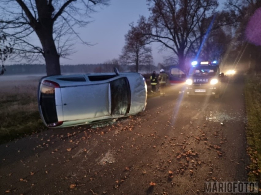 Do wypadku doszło dziś (13.11) około godz. 16 na terenie...