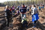 Przedszkole Samorządowe z Margonina już 14 raz posadziło las z okazji "Dnia Ziemi"