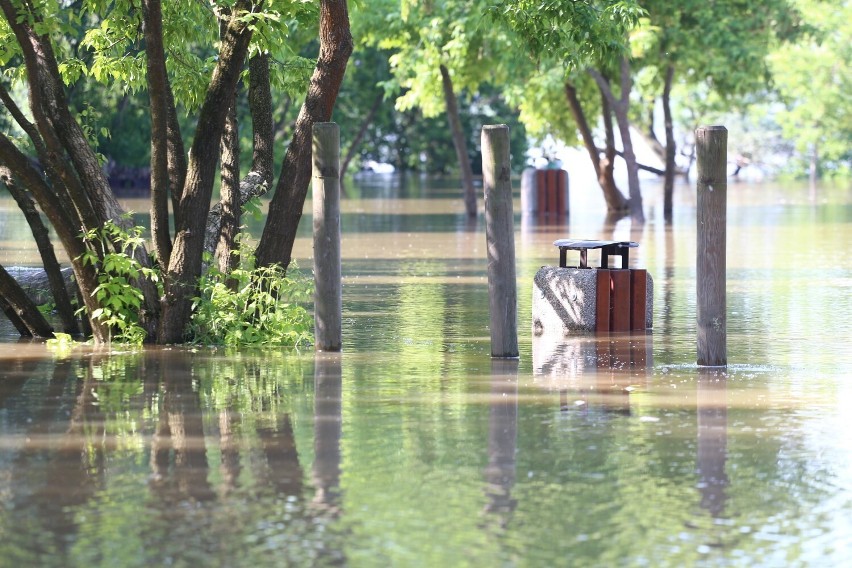 Alerty hydrologiczne na Mazowsza. Fala wezbraniowa zmierza w kierunku stolicy. Czy Wisła w Warszawie wyleje?