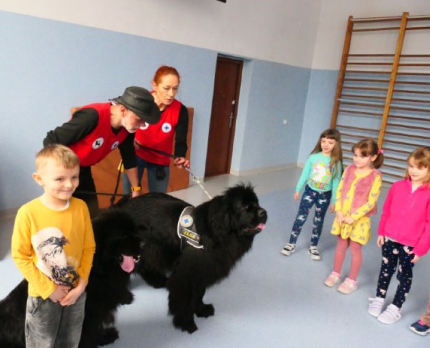 PSP w Dziepółci gościła również opiekunów psów ratowniczych...