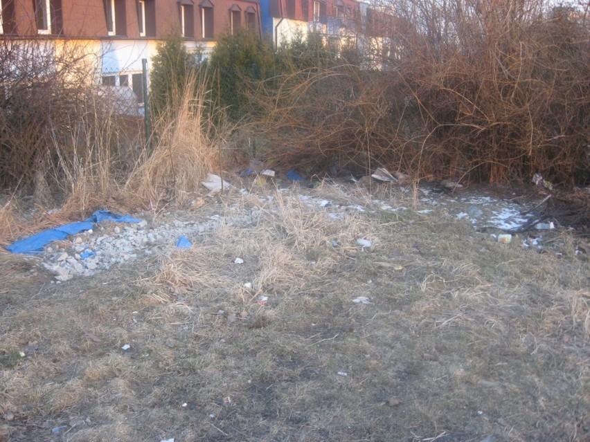 Śmieciowy bałagan przy ulicy Kraszewskiego i Nowowiejskiego [ZDJĘCIA]