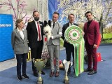 Spaniel kontynentalny miniaturowy najpiękniejszy wśród trzech tysięcy psów