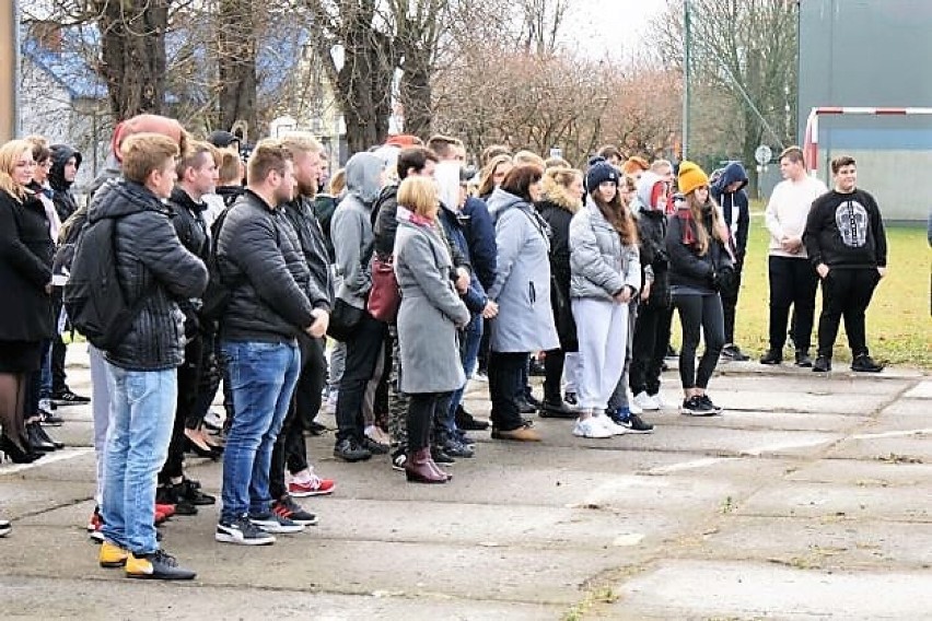 W Radymnie odbyła się akcja sadzenia drzew i krzewów miododajnych. Posadzili ponad 40 tysięcy drzew! 