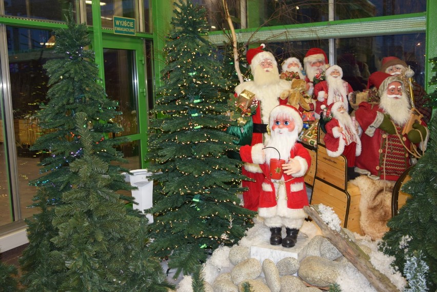 Świąteczna dekoracja w Centrum Ogrodniczym Lilia w Wieluniu[ZDJĘCIA]