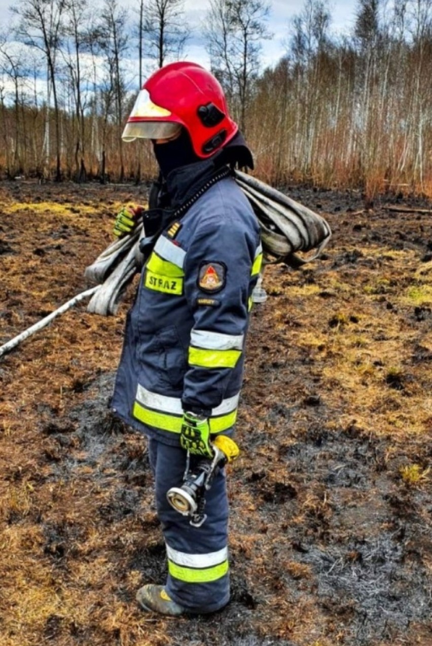 Strażacy z Rumi walczyli z ogniem w Biebrzańskim Parku Narodowym |ZDJĘCIA