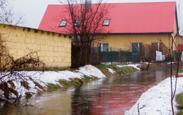 Oprócz Rowu Polskiego, w Rydzynie i wokół niej jest wiele innych kanałów, co powoduje, że woda podchodzi pod domy