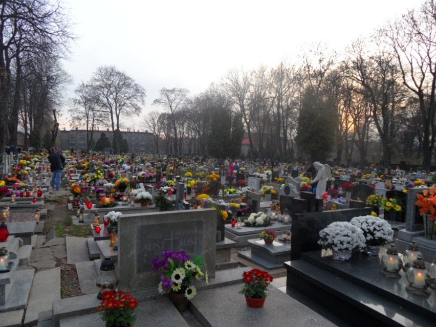 Cmentarze w Bytomiu 1.11.2013. Mater Dolorosa i nie tylko