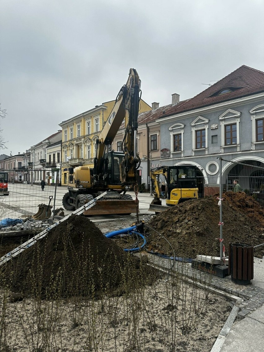 Rewitalizacja Rynku w Kielcach szokuje mieszkańców. Posadzili krzewy i... je wykopali! Zobacz zdjęcia