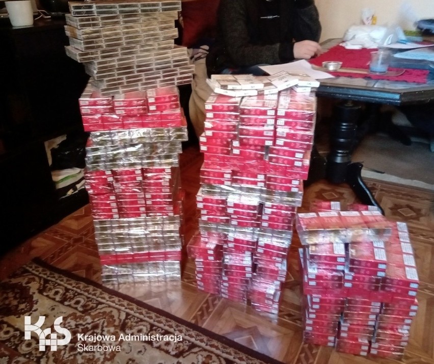 24 tysiące nielegalnych papierosów w mieszkaniu! KAS pomógł pies Kolia [zdjęcia]