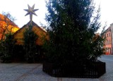 W Toruniu mamy dwie plenerowe szopki bożonarodzeniowe [zdjęcia, wideo]