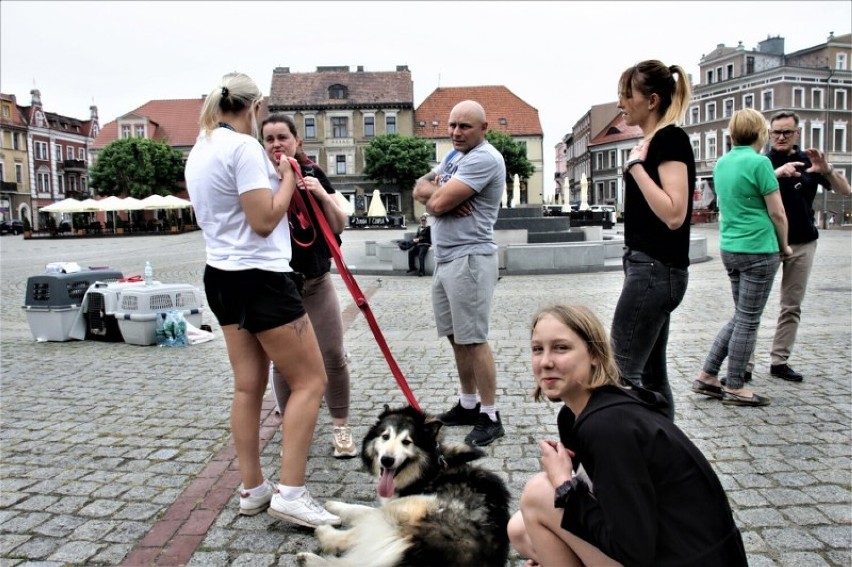 Gnieźnieńskie Dni Recyklingu i zbiórka dla zwierząt ze...