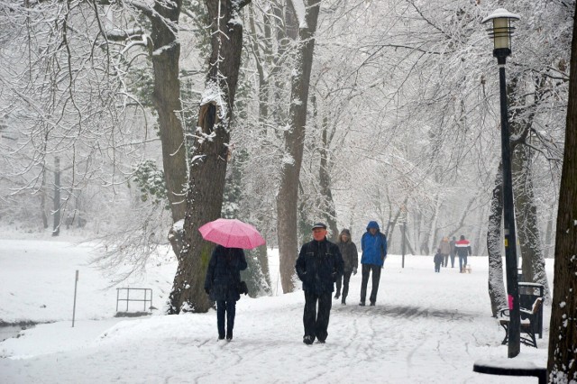 Bajkowa Nysa pod śniegiem! Zobacz na zdjęciach jak spaceruje się w zimowej aurze.