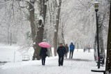 Bajkowa Nysa pod śniegiem! Zobacz na zdjęciach jak spaceruje się w zimowej aurze