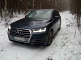 Pościg na autostradzie A2 za kierowcą sportowego audi zakończył się w lesie. Auto było kradzione