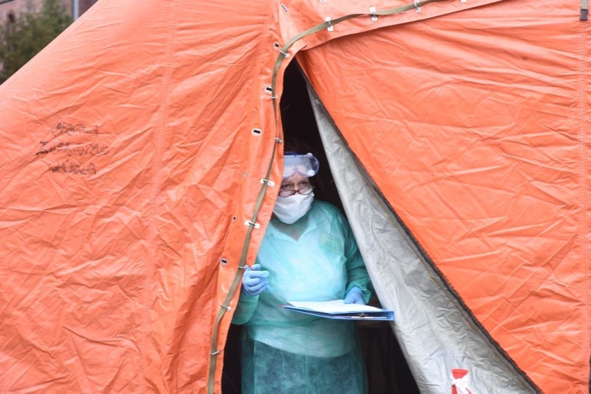 Koronawirus: To dopiero początek pandemii koronawirusa w Europie i Polsce? "Liczba przypadków wzrośnie". Szczyt zachorowań przed nami