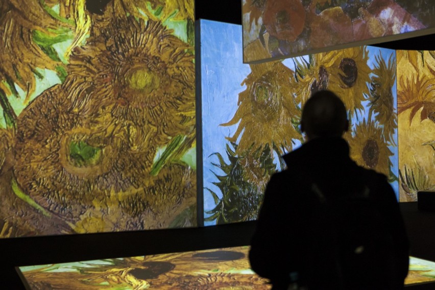 Van Gogh Alive. Tak wygląda interaktywna wystawa najlepszych...
