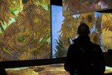 Van Gogh Alive w Warszawie. Tak wygląda interaktywna wystawa najlepszych dzieł mistrza [ZDJĘCIA]
