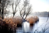Piękny zimowy marcowy poranek 2003 w Lesznie. Zobaczcie jak urokliwie wygląda żwirownia w Zaborowie o tej porze roku