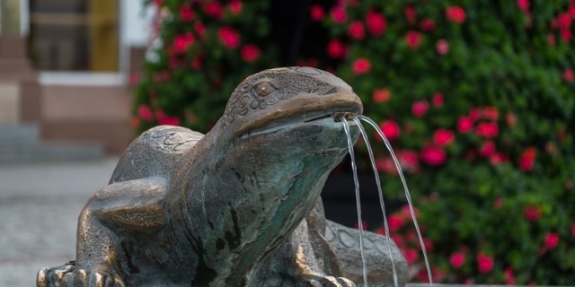 Maskotka - jaszczurka ma nawiązywać do historii Wąbrzeźna. Przypomnijmy, że jaszczurki znajdują się na Placu Jana Pawła II w Wąbrzeźnie