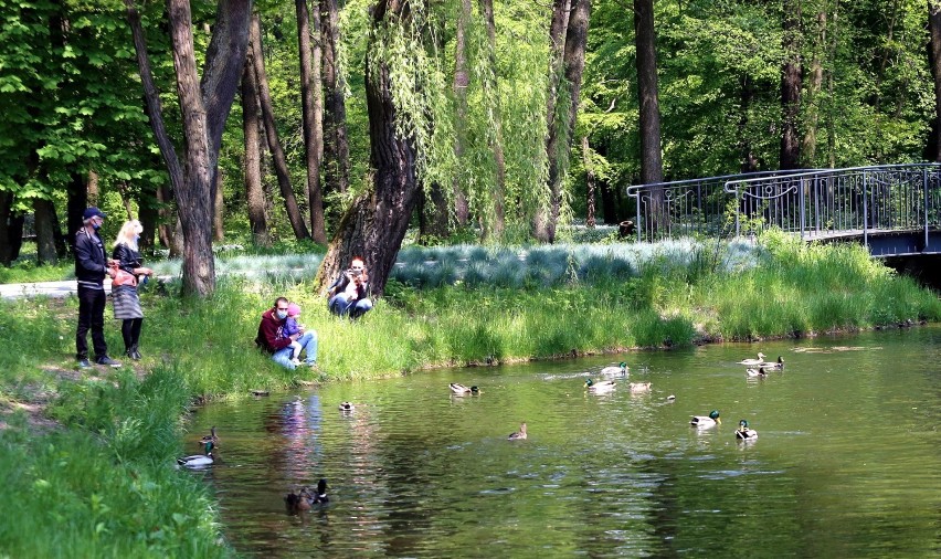 Park Zielona w Dąbrowie Górniczej