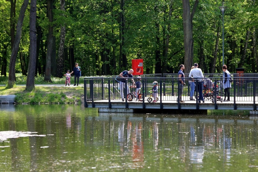 Park Zielona w Dąbrowie Górniczej