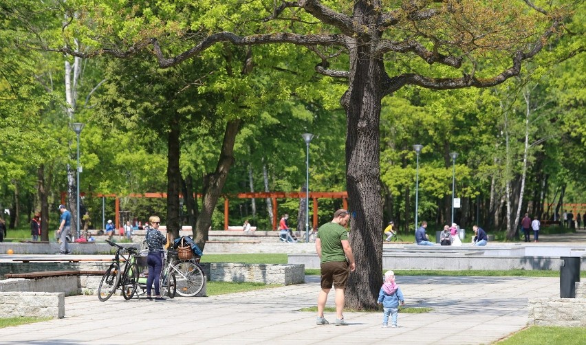 Park Zielona w Dąbrowie Górniczej