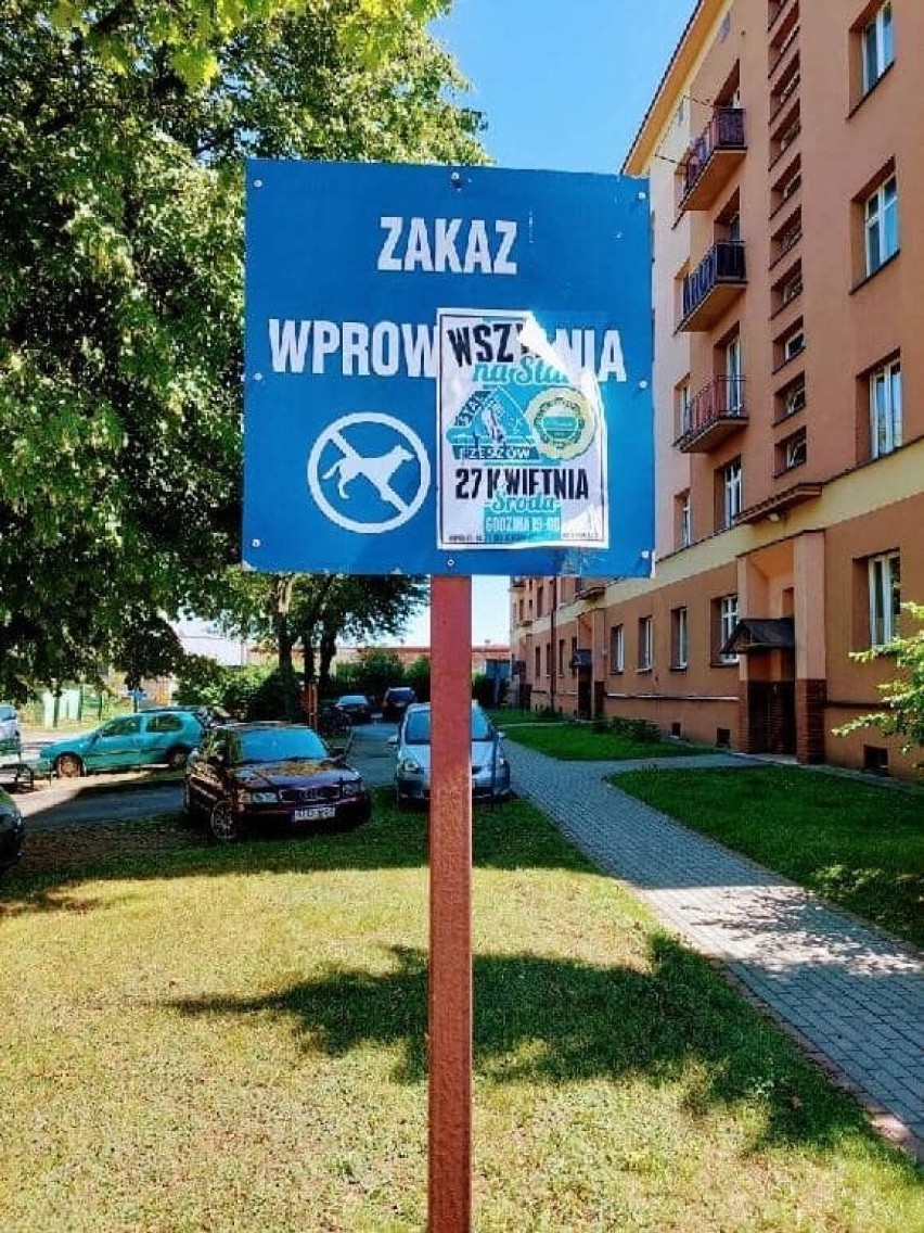 Coraz większe wklejki sympatyków piłkarskich klubów, mogą...