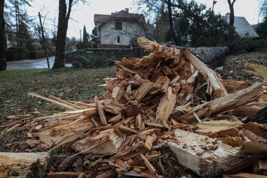 Wichura w Małopolsce. Ponad 150 tys. domostw bez prądu. Trwa walka ze skutkami żywiołu