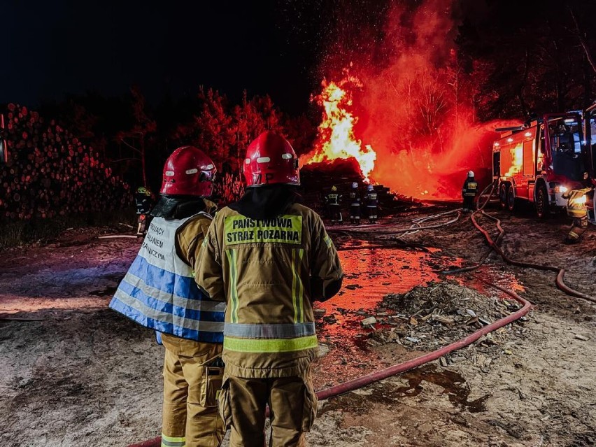 Duży pożar w powiecie ostrzeszowskim. Na pomoc ruszyły jednostki OSP z powiatu kaliskiego. ZDJĘCIA
