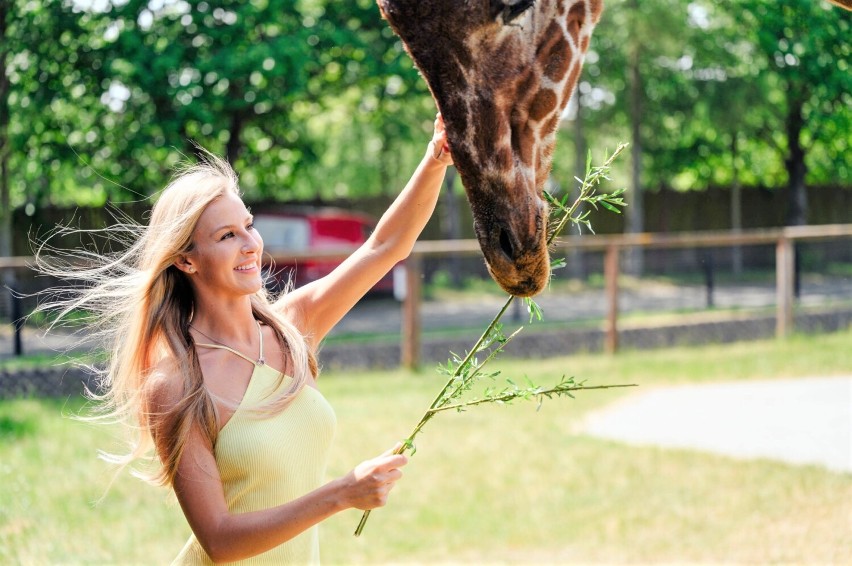 Kandydatki do tytułu Miss Polonia w Zoo Borysew. Zobacz jak się prezentowały podczas fotosesji ZDJĘCIA