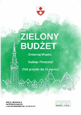 Elbląg: Startuje IV edycja programu "Zielony budżet 2024"