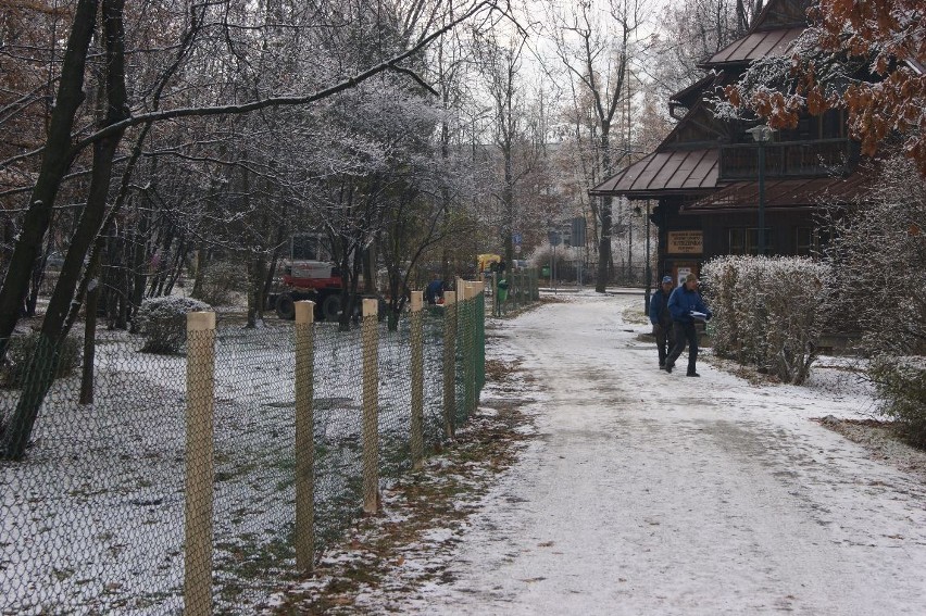 Zakopane: Rozpoczęły się prace w parku