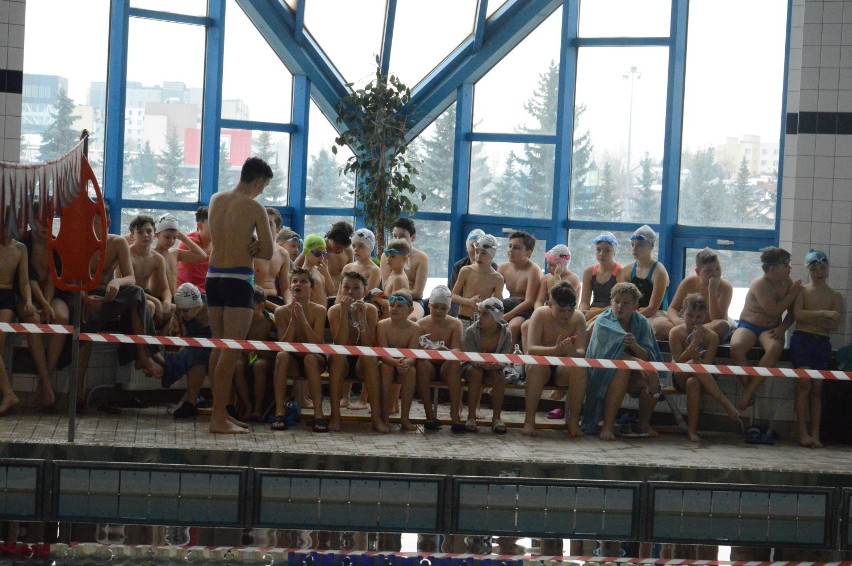 Pływacy z Bełchatowa, Łasku i Pajęczna rywalizowali w zawodach walentynkowych [GALERIA]