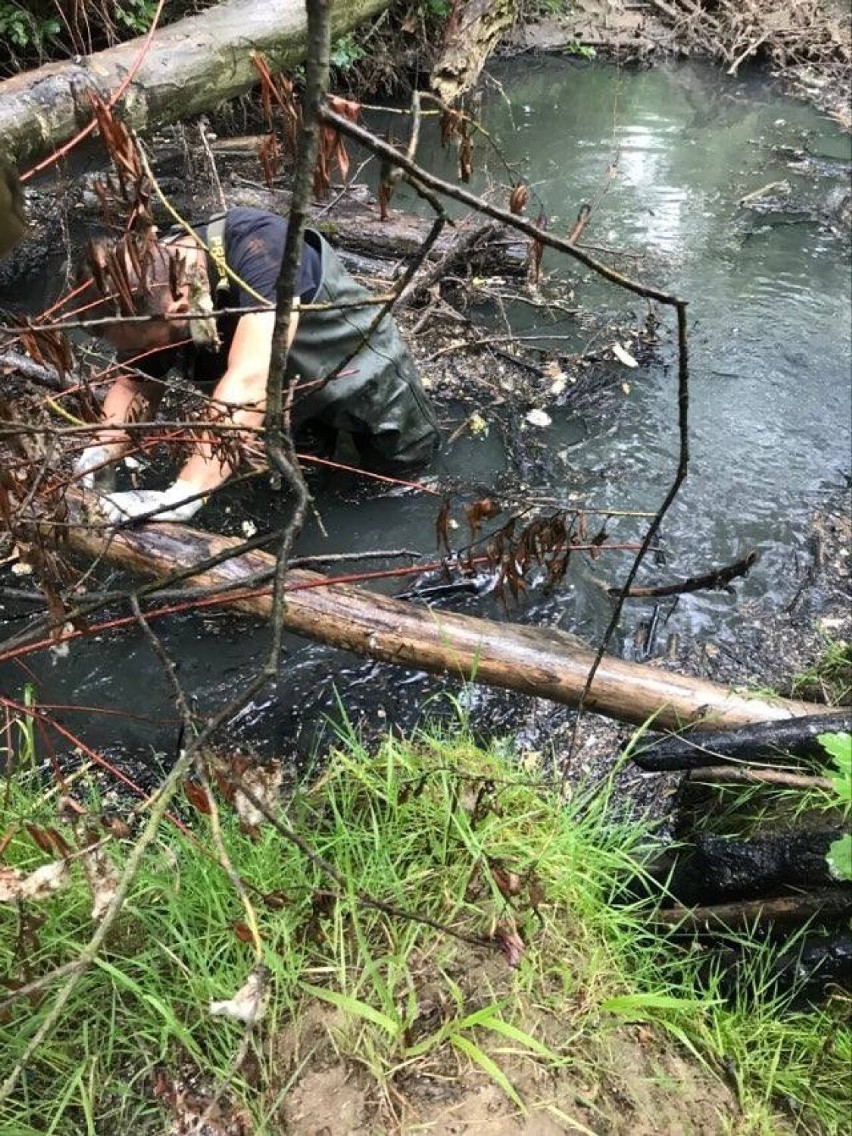 Problemy oczyszczalni ścieków w Lusinie