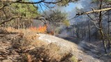 Pożar w rezerwacie Białogóra: spaleniu uległo ponad 2 tys. m2 lasu. Powód: niedogaszone ognisko! | ZDJĘCIA, NADMORSKA KRONIKA POLICYJNA