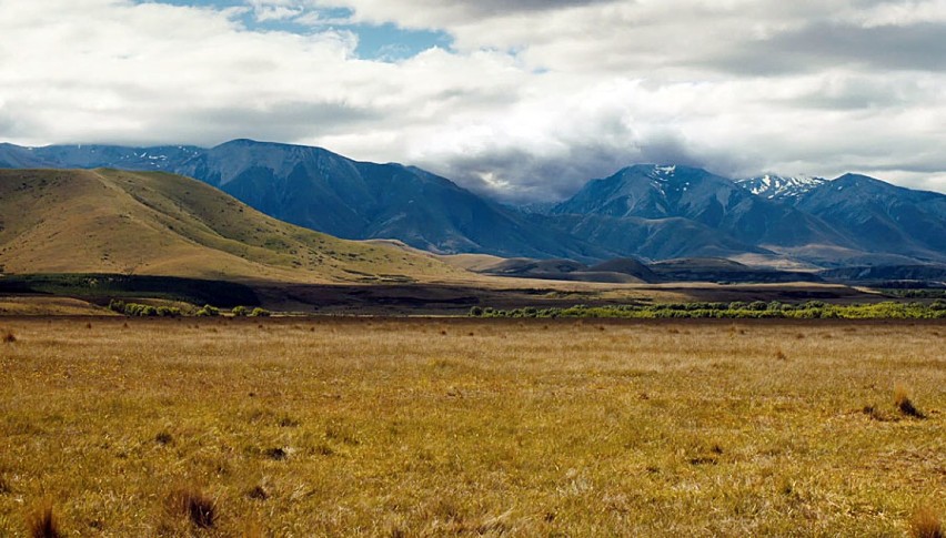 "Slow West" - kadr z filmu