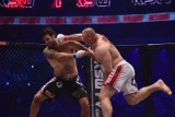 KSW 31 w Ergo Arenie. Zobacz świetny nokaut Pudzianowskiego! [WIDEO]