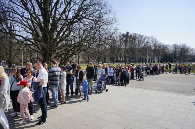 Długa kolejka w parku Wilsona. Co przyciągnęło tu poznaniaków?