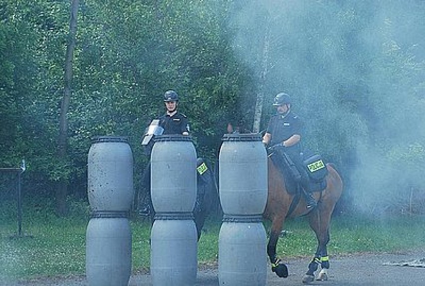 Chorzowscy policjanci z drużyny konnej otrzymali nowy sprzęt...