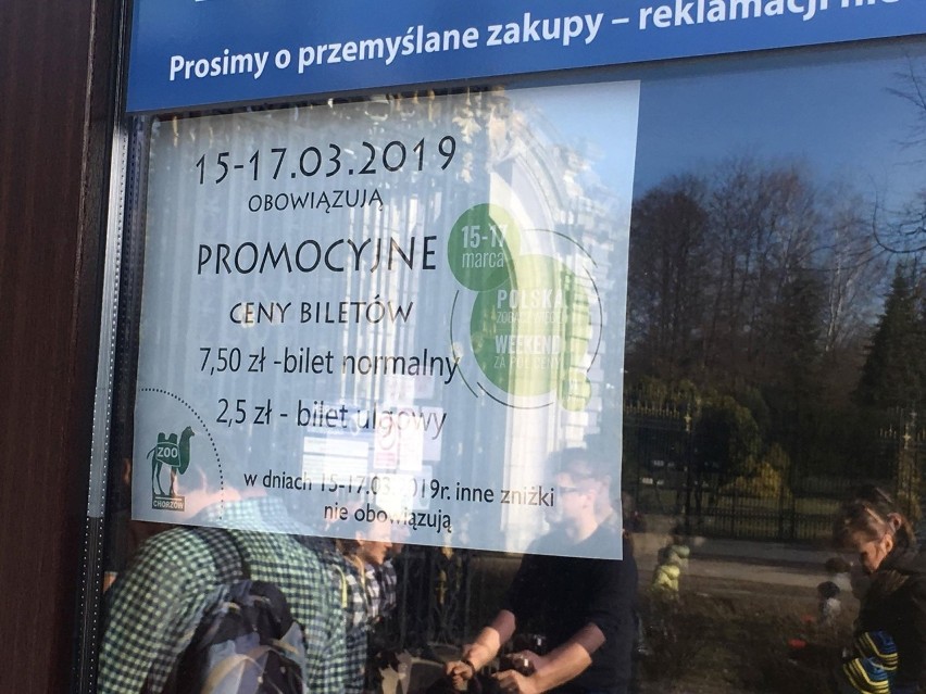 Park Śląski jest w niedzielę oblegany. Nic dziwnego, bo to...