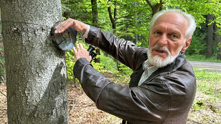 Janus Mytkowicz stworzył Galerię Leśną nieopodalk Brzeska