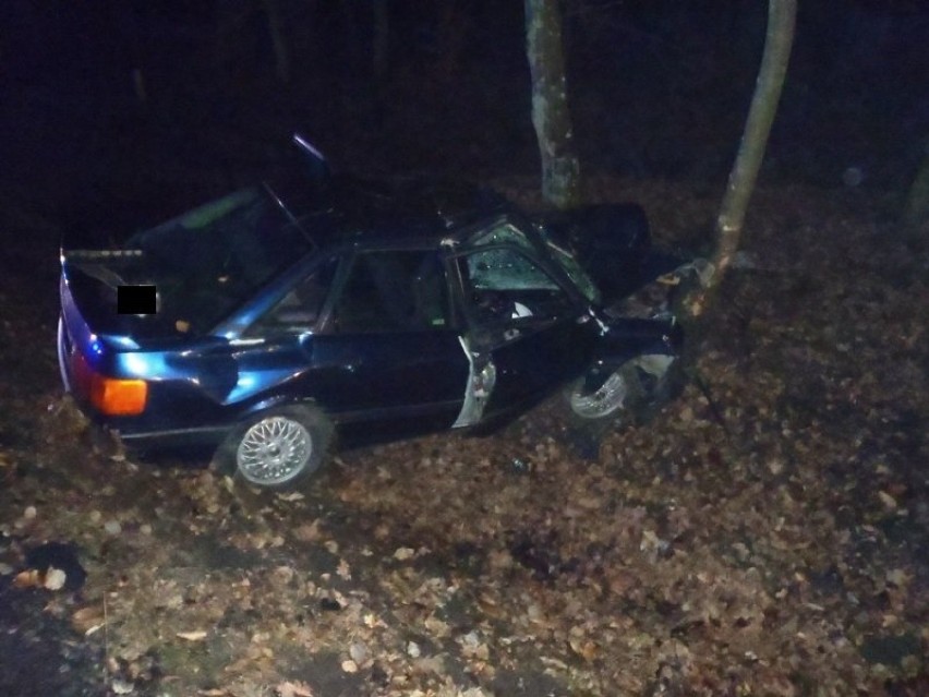 Wypadek w Glince. Samochód zderzył się z łosiem