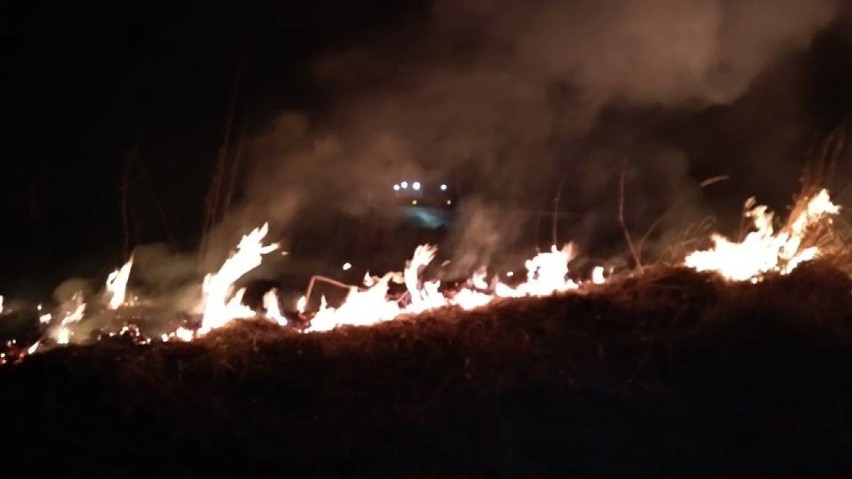 Pożar łąk w Gromcu i Wolbromiu. Rozpoczął się sezon na wypalanie traw