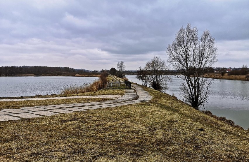 Kraków. Zalew w Zesławicach, mało znany i zapomniany, ale wart uwagi [ZDJĘCIA]