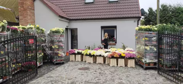 Sołtyska wsi Myszkowo, Marzena Chojnacka zajęła się dystrybucją kwiatów do poszczególnych sołectw