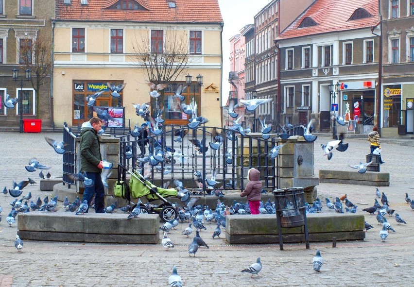 Gniezno na zdjęciu. Takich widoków już nie ma