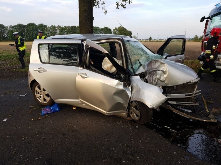 Auto na drzewie w Ostrorogu