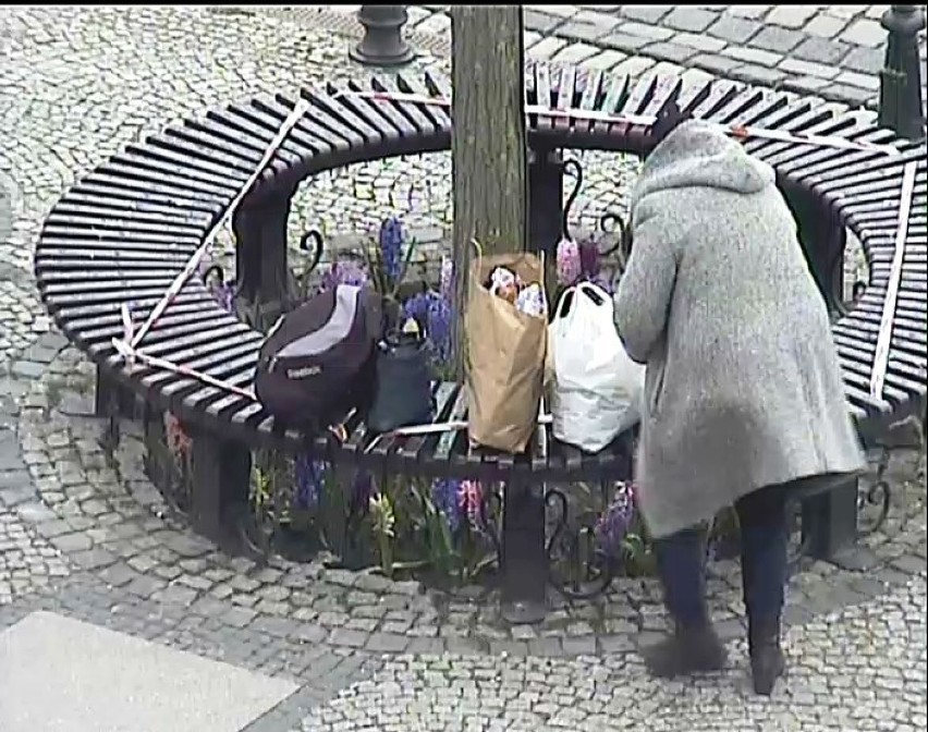 Najpierw zakupy, potem ukraść parę kwiatów sprzed ratusza - strażnicy miejscy wypatrzyli kobietę w kamerze monitoringu